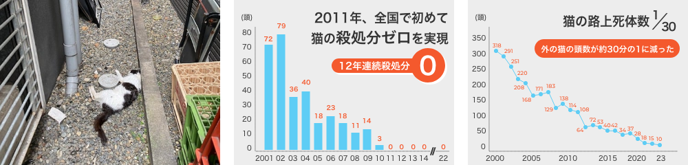 「殺処分ゼロ」実現、「ロードキル」は40分の1に