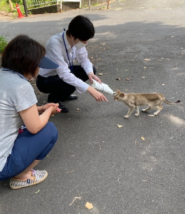 行政が主導して飼い主のいない猫への対策を