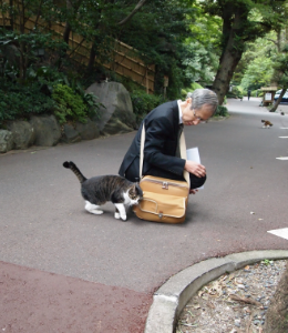 昔は外で暮らす猫がいたんだって