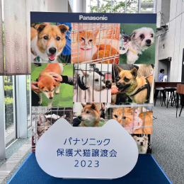 パナソニック保護犬猫譲渡会2023